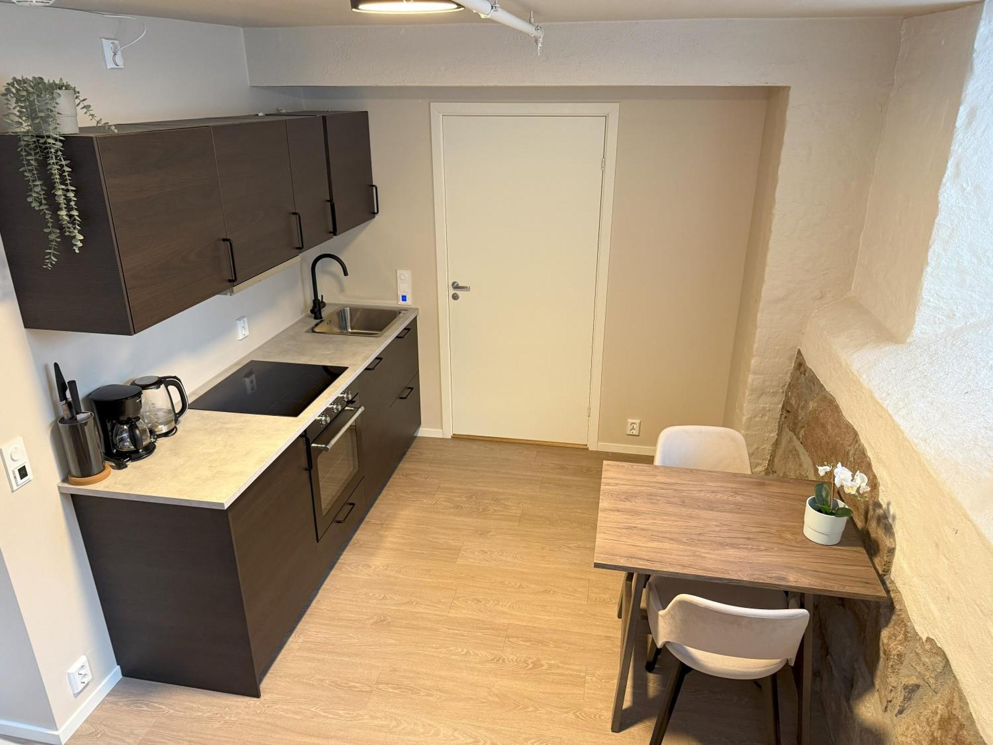 Apartment Maya - Parkveien Oslo